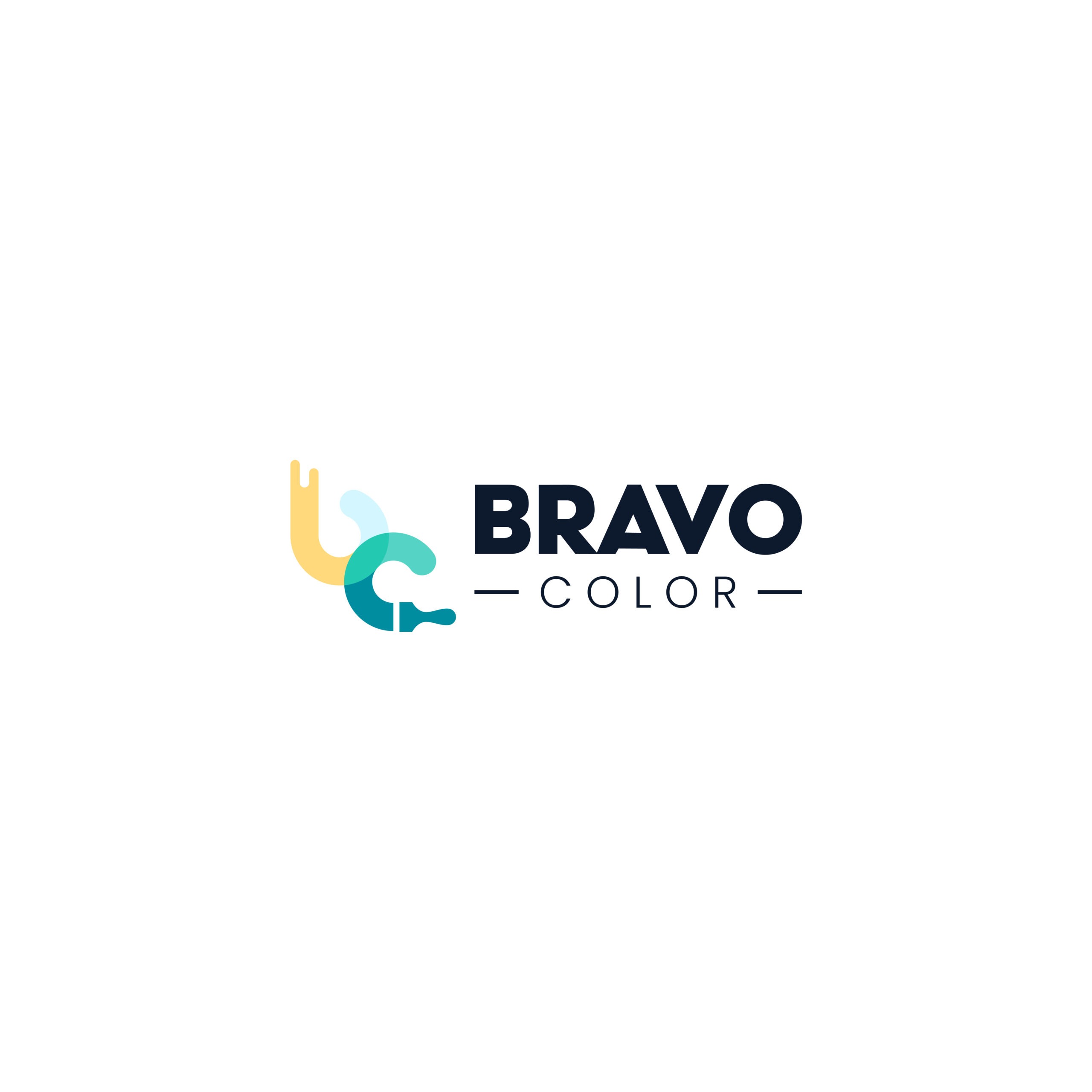 BRAVO COLOR SARLS